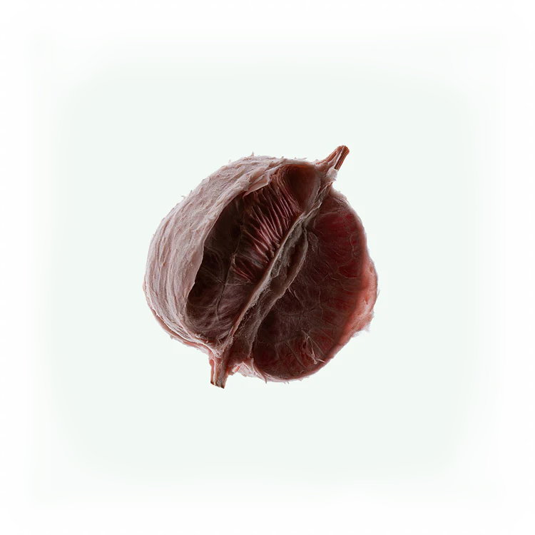 Deodorant Spray Pomelo