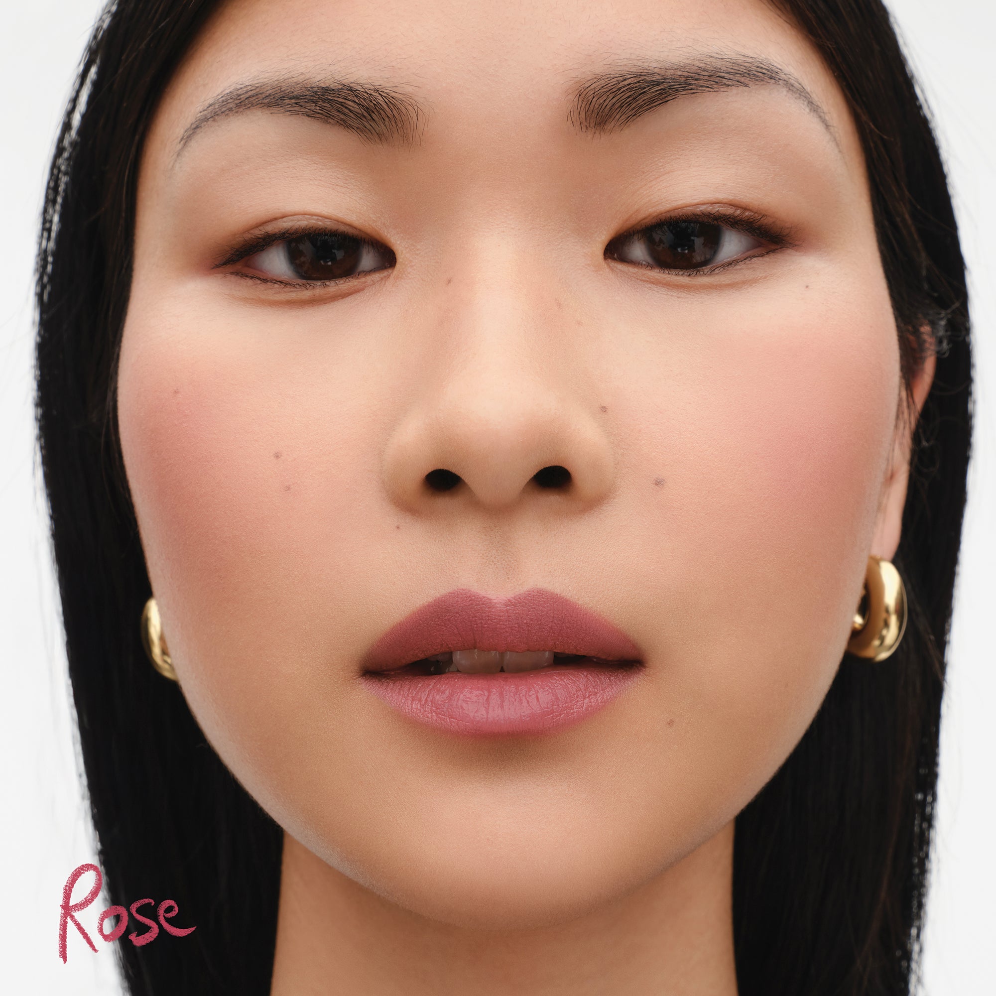 Lip Suede Matte Lipstick - Rose