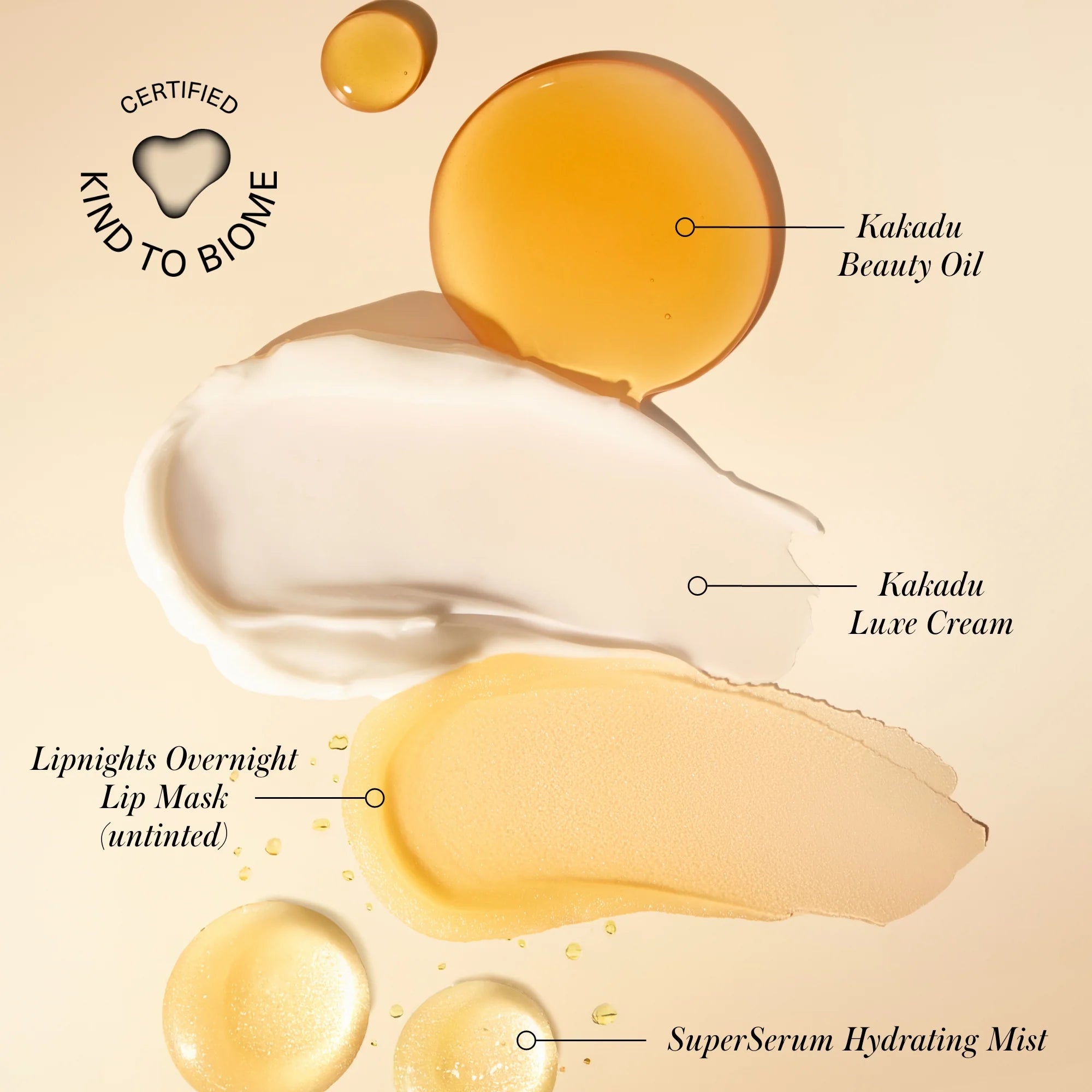 Skincare Secrets Kit