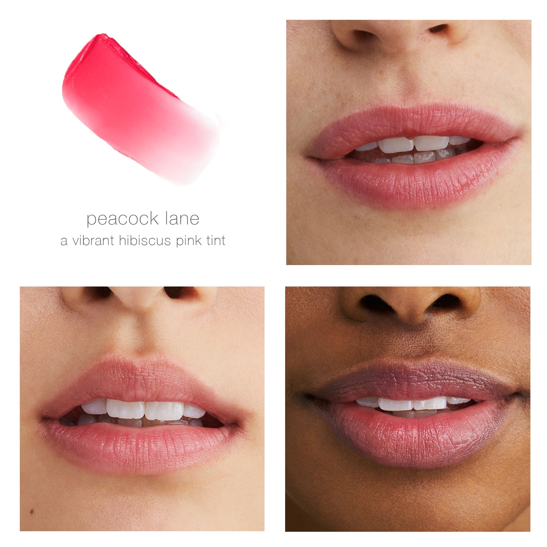 Tinted Lip Balm Peacock Lane