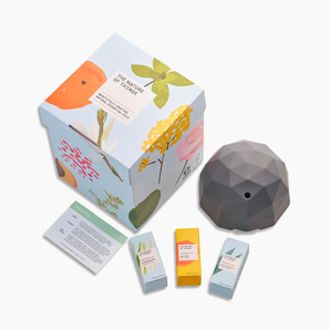 Gift Set Home Office PLUS
