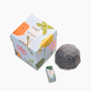 Gift Set Home Office