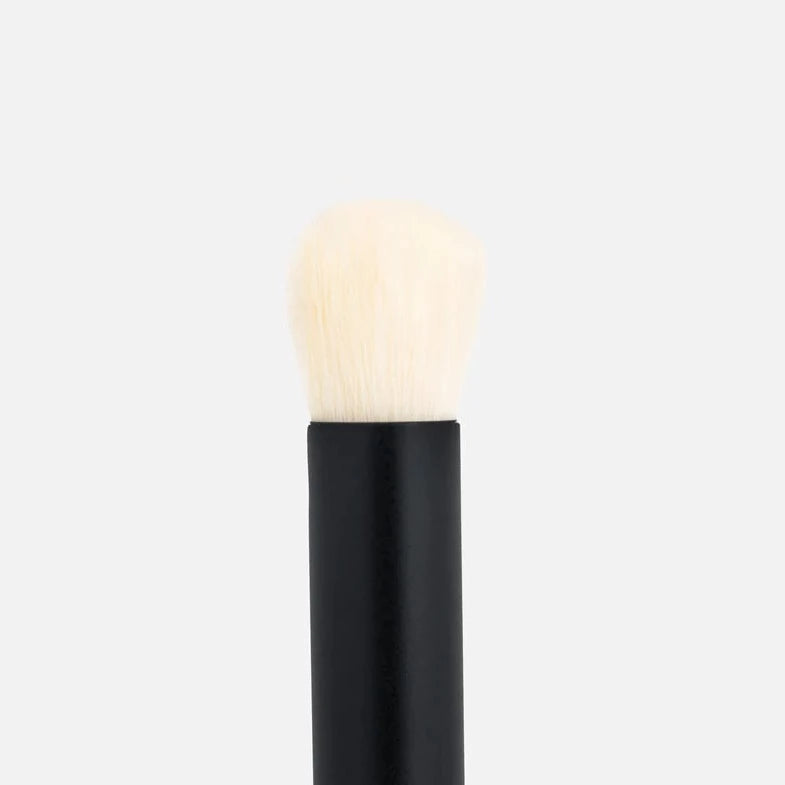 Baby Blender Brush