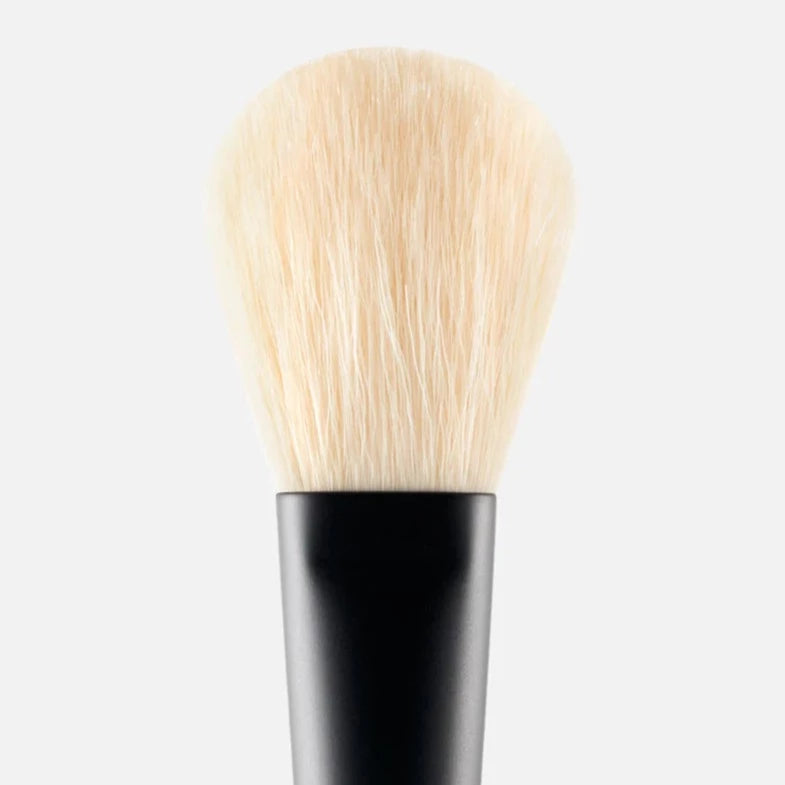 Powder Brush