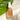 Enchanted Island Salt Spray