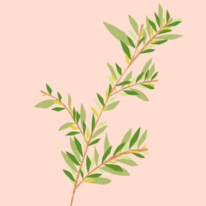 Tea Tree esenciální olej