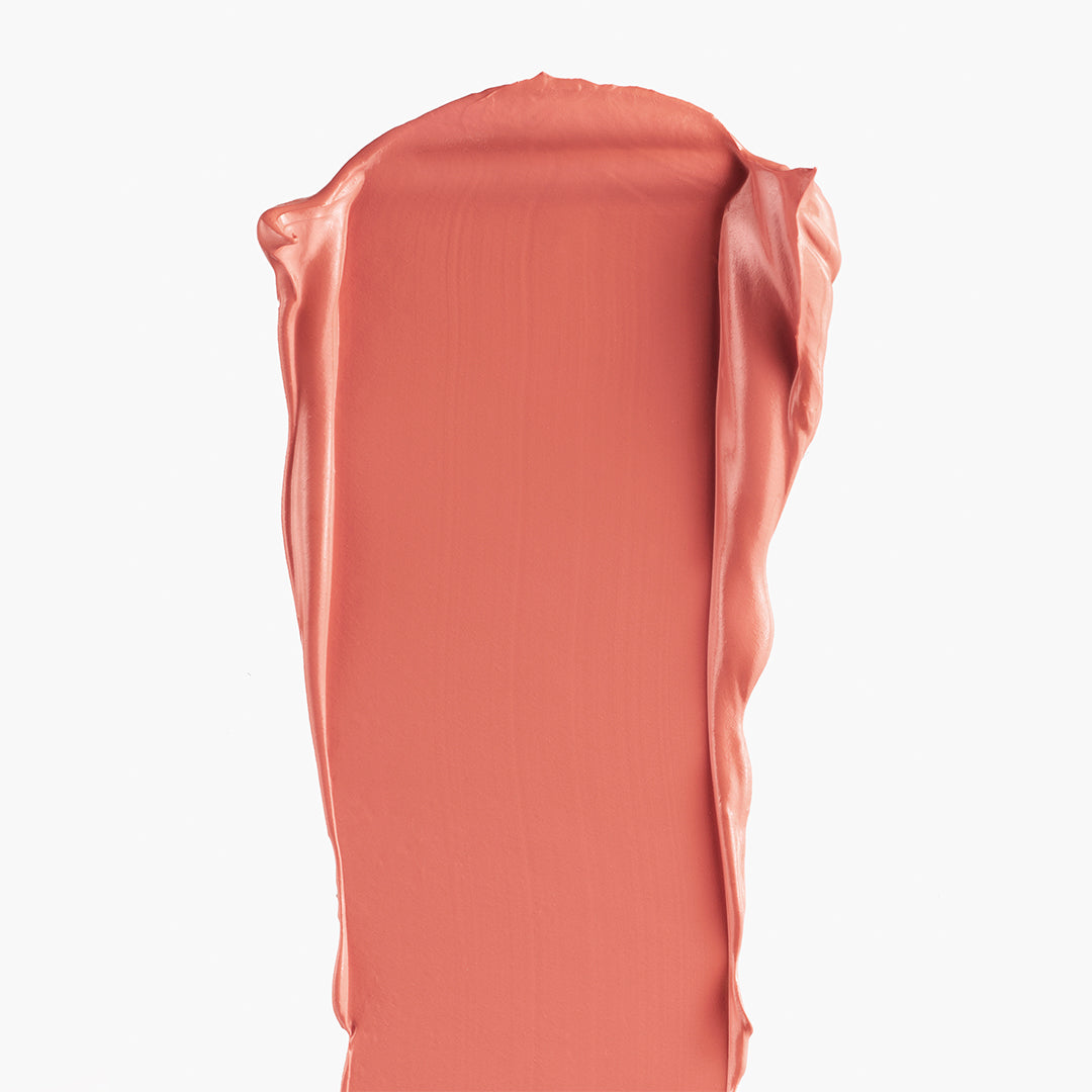 All Over Colour Gazania