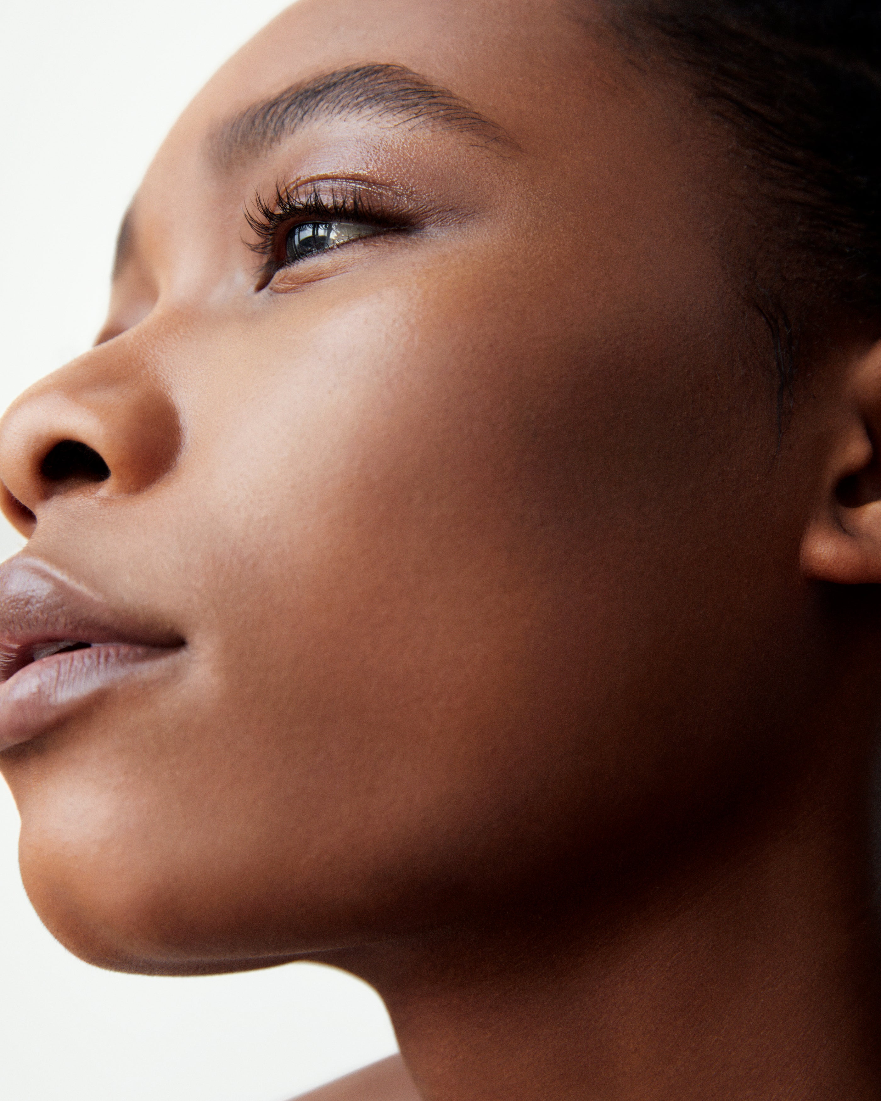 All Over Colour Chamoisee