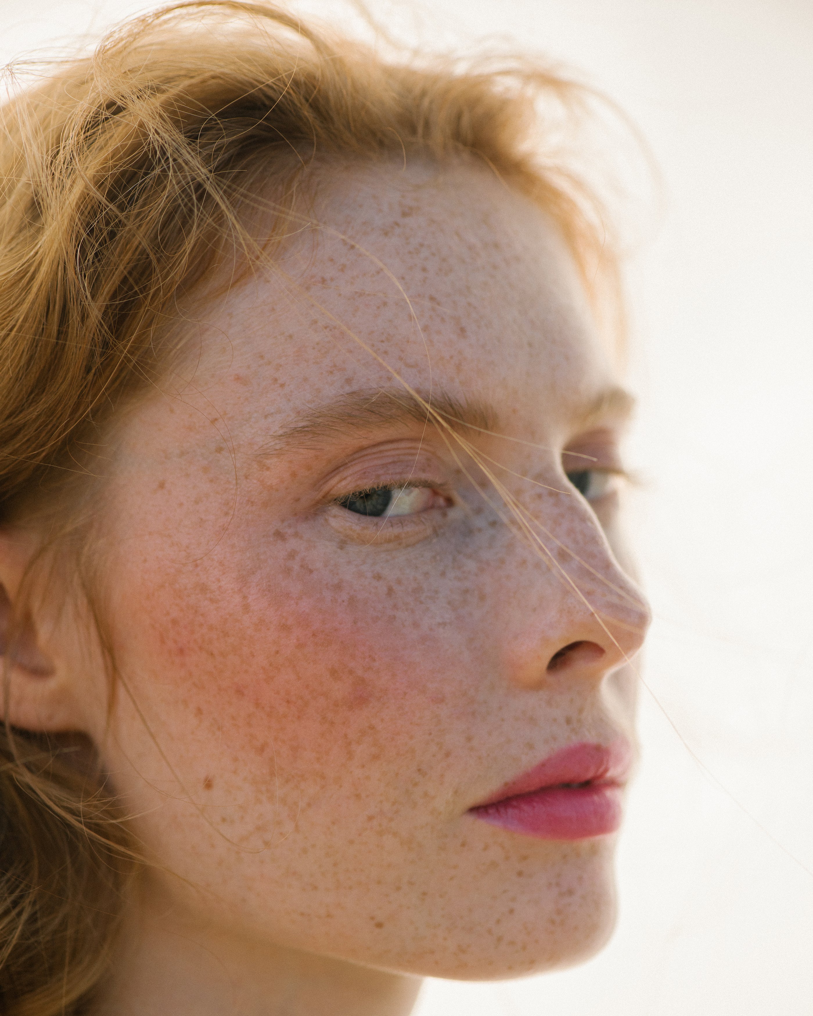 All Over Colour Fuchsine