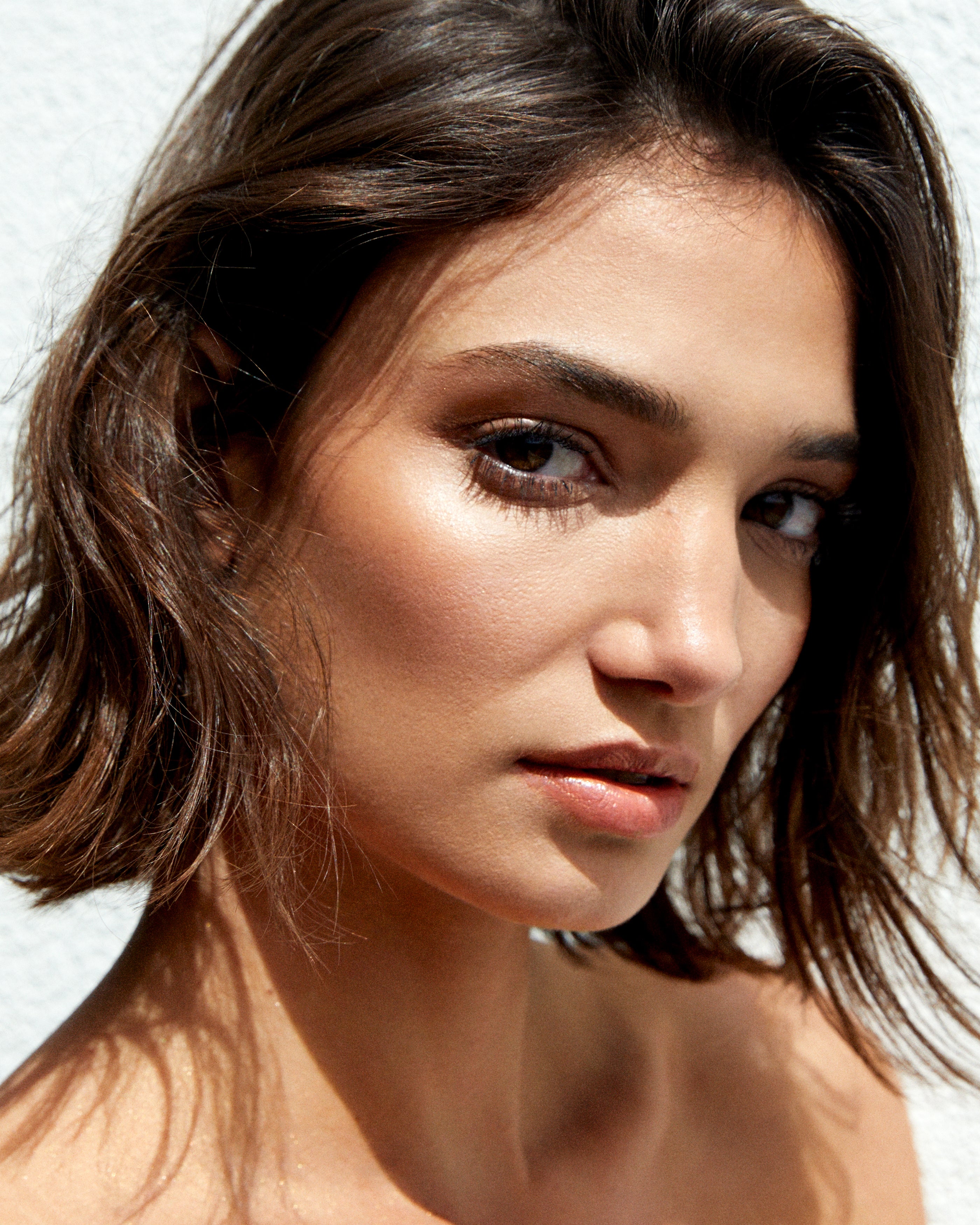 All Over Colour Gazania