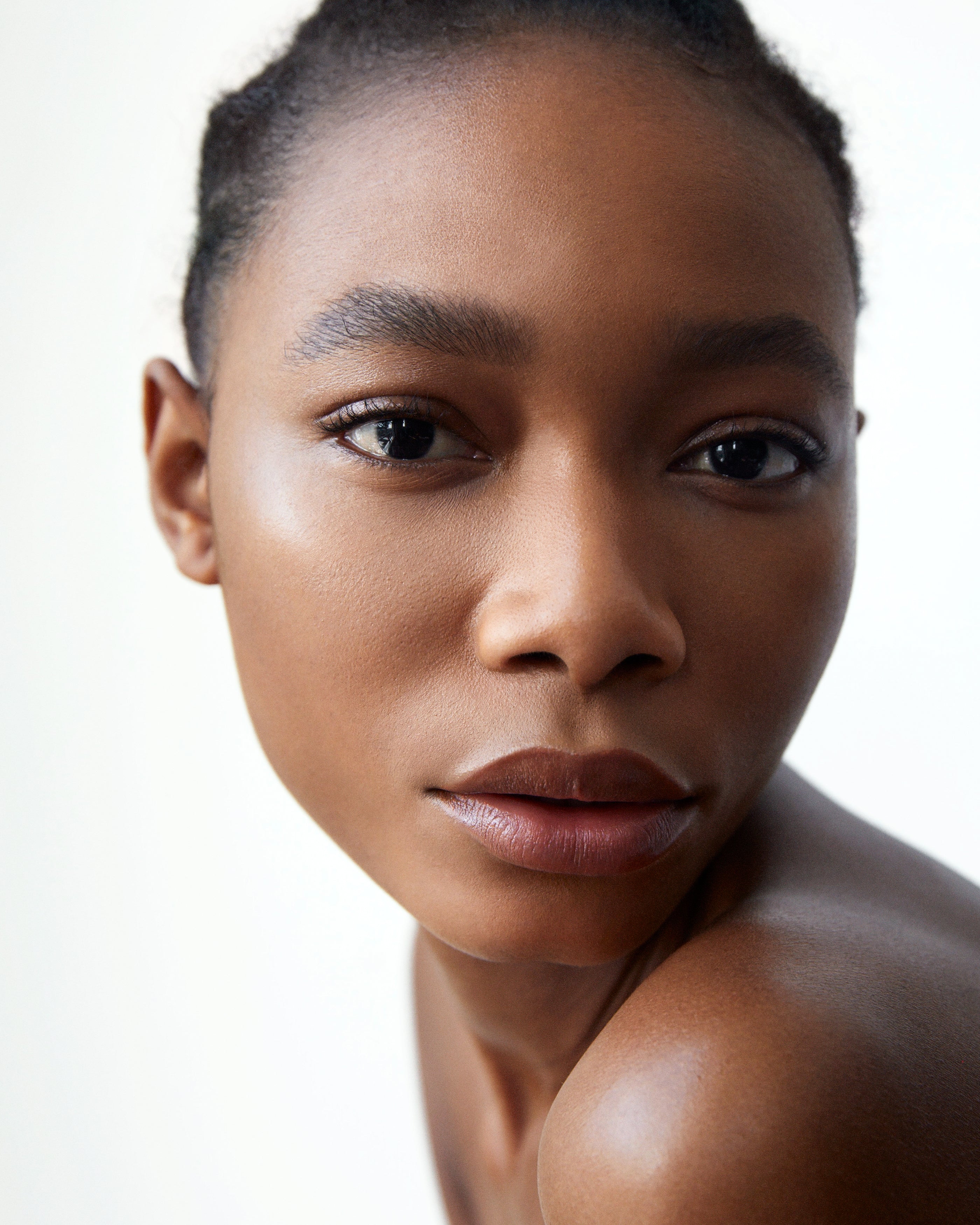 All Over Colour Gazania