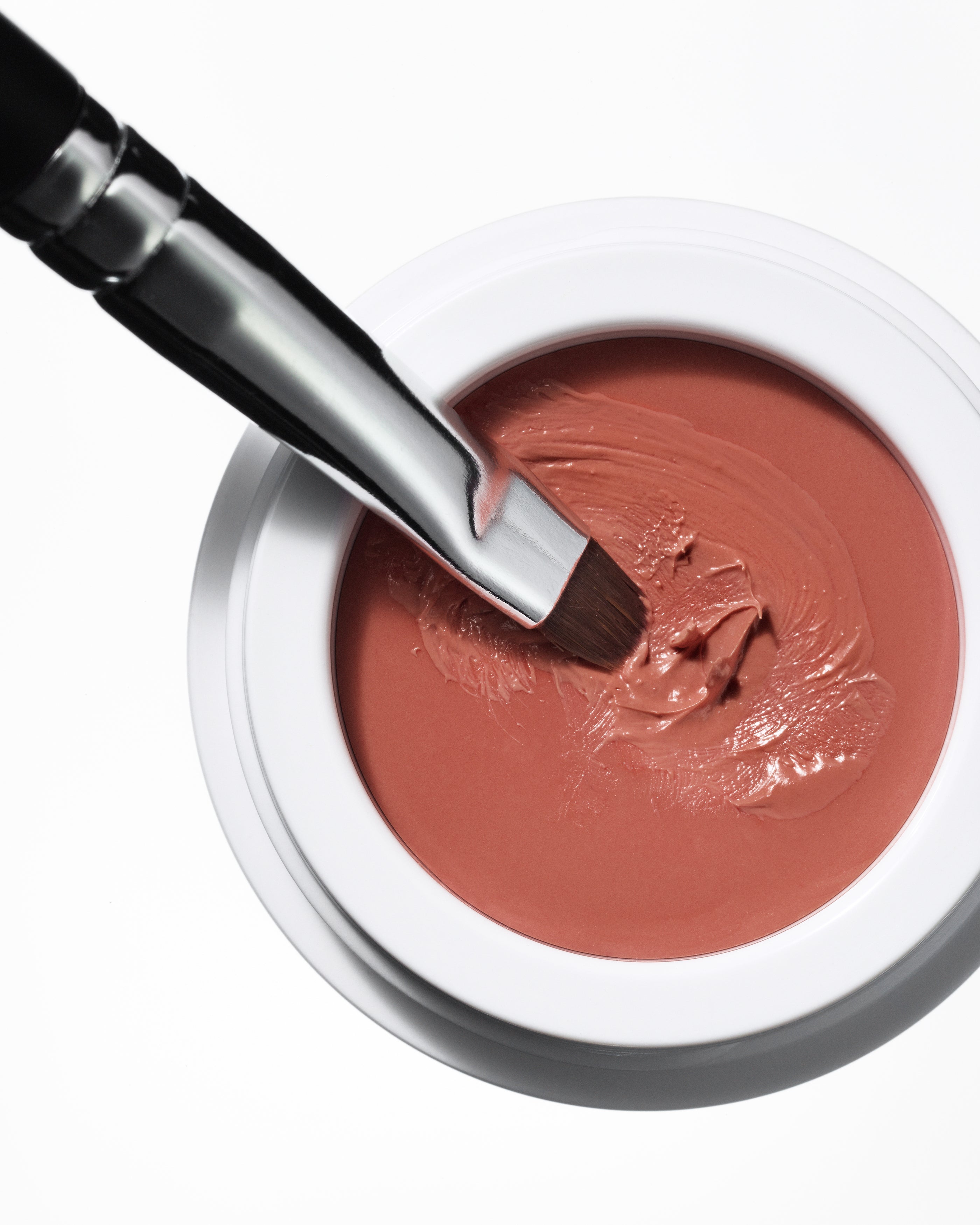 All Over Colour Gazania